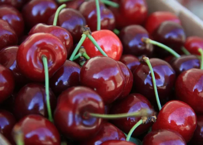 Casa Carla Vakantiehuis